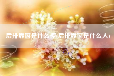 后排靠窗是什么梗(后排靠窗是什么人)