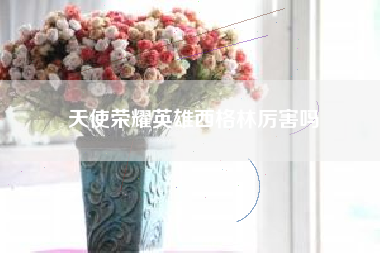 天使荣耀英雄西格林厉害吗