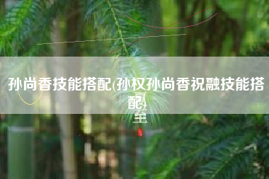 孙尚香技能搭配(孙权孙尚香祝融技能搭配)