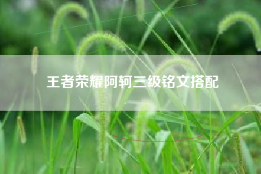王者荣耀阿轲三级铭文搭配