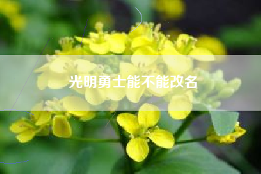光明勇士能不能改名