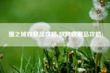 猫之城收藏品攻略(放风收藏品攻略)