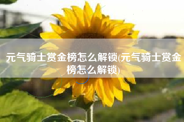元气骑士赏金榜怎么解锁(元气骑士赏金榜怎么解锁)