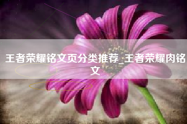 王者荣耀铭文页分类推荐_王者荣耀肉铭文