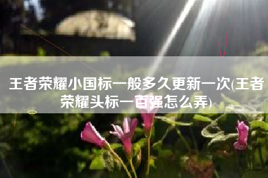 王者荣耀小国标一般多久更新一次(王者荣耀头标一百强怎么弄)