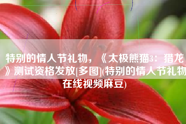特别的情人节礼物，《太极熊猫3：猎龙》测试资格发放[多图](特别的情人节礼物在线视频麻豆)