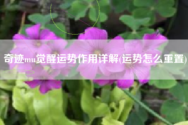 奇迹mu觉醒运势作用详解(运势怎么重置)