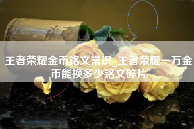 王者荣耀金币铭文常识_王者荣耀一万金币能换多少铭文碎片