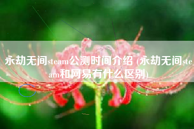永劫无间steam公测时间介绍 (永劫无间steam和网易有什么区别)