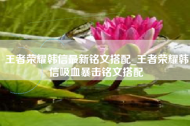 王者荣耀韩信最新铭文搭配_王者荣耀韩信吸血暴击铭文搭配