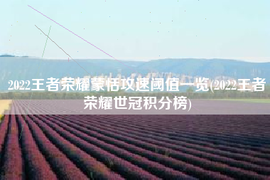 2022王者荣耀蒙恬攻速阈值一览(2022王者荣耀世冠积分榜)