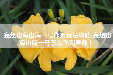 妄想山海山海一号作用玩法攻略(妄想山海山海一号怎么飞到星球上)