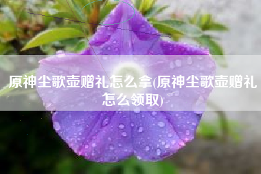 原神尘歌壶赠礼怎么拿(原神尘歌壶赠礼怎么领取)