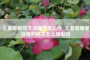 王者荣耀铭文没用了怎么办_王者荣耀里没用的铭文怎么换取碎