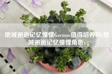 地城邂逅记忆憧憬Garmus值得培养吗(地城邂逅记忆憧憬角色)