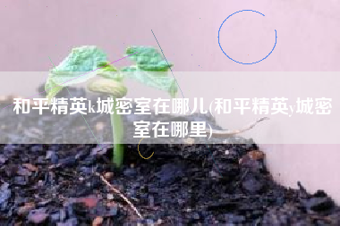 和平精英k城密室在哪儿(和平精英y城密室在哪里)