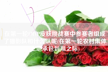 在第一轮FMVP皮肤挑战赛中参赛者组成了猫影队和什么队呢(在第一轮农村集体土地承包到期之际)
