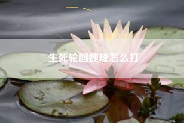 生死轮回魏隆怎么打
