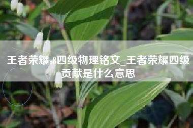 王者荣耀s8四级物理铭文_王者荣耀四级贡献是什么意思