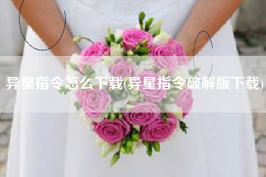 异星指令怎么下载(异星指令破解版下载)