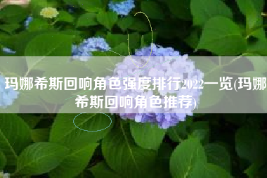 玛娜希斯回响角色强度排行2022一览(玛娜希斯回响角色推荐)