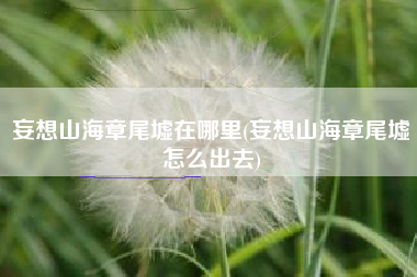 妄想山海章尾墟在哪里(妄想山海章尾墟怎么出去)