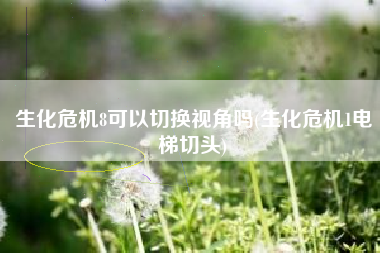 生化危机8可以切换视角吗(生化危机1电梯切头)