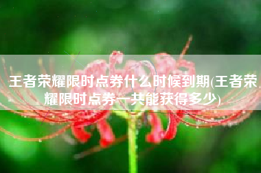 王者荣耀限时点券什么时候到期(王者荣耀限时点券一共能获得多少)