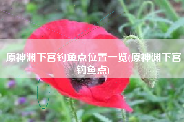 原神渊下宫钓鱼点位置一览(原神渊下宫钓鱼点)