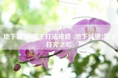地下城堡3新王打法攻略 (地下城堡3新王打完之后)