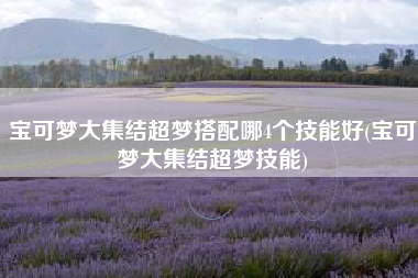 宝可梦大集结超梦搭配哪4个技能好(宝可梦大集结超梦技能)