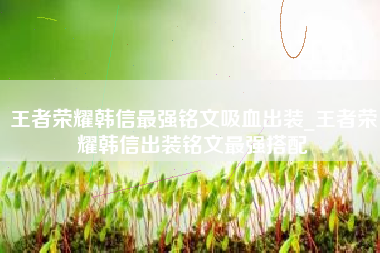 王者荣耀韩信最强铭文吸血出装_王者荣耀韩信出装铭文最强搭配