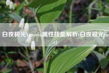 白夜极光Victoria属性技能解析(白夜极光vice)