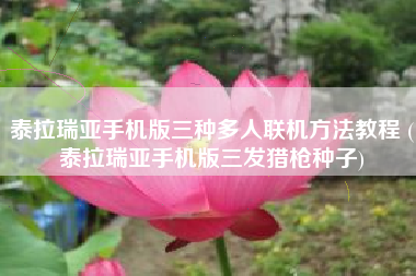 泰拉瑞亚手机版三种多人联机方法教程 (泰拉瑞亚手机版三发猎枪种子)
