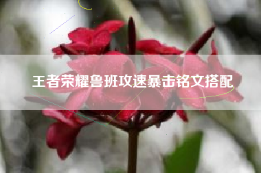 王者荣耀鲁班攻速暴击铭文搭配