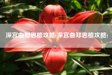 深宫曲郑思檀攻略(深宫曲郑思檀攻略)