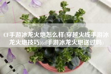 CF手游冰龙火炮怎么样(穿越火线手游冰龙火炮技巧)(cf手游冰龙火炮送过吗)
