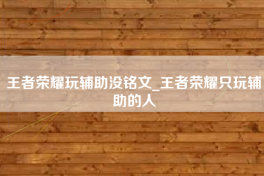 王者荣耀玩辅助没铭文_王者荣耀只玩辅助的人