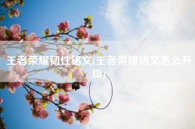 王者荣耀韧性铭文(王者荣耀铭文怎么升级)