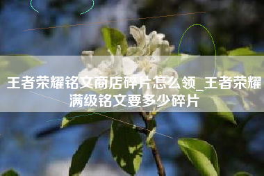 王者荣耀铭文商店碎片怎么领_王者荣耀满级铭文要多少碎片
