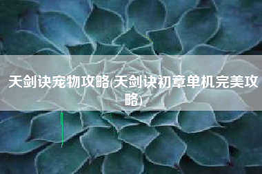 天剑诀宠物攻略(天剑诀初章单机完美攻略)