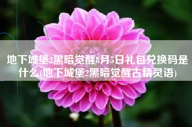 地下城堡2黑暗觉醒8月5日礼包兑换码是什么(地下城堡2黑暗觉醒古精灵语)