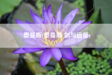 奥曼斯(奥曼斯 剑与远征)