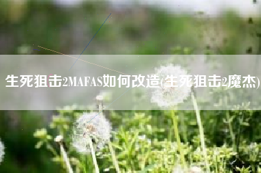 生死狙击2MAFAS如何改造(生死狙击2魔杰)