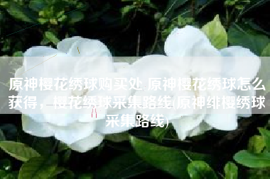 原神樱花绣球购买处 原神樱花绣球怎么获得，樱花绣球采集路线(原神绯樱绣球采集路线)