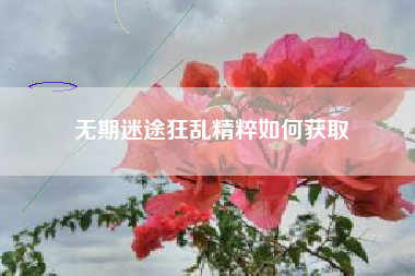 无期迷途狂乱精粹如何获取