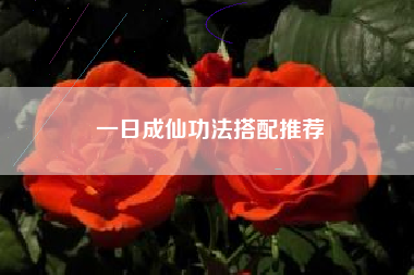 一日成仙功法搭配推荐