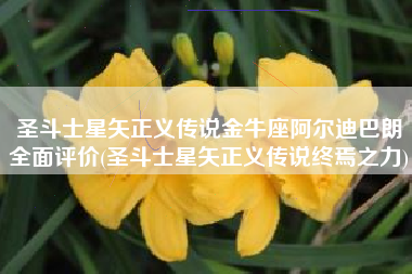 圣斗士星矢正义传说金牛座阿尔迪巴朗全面评价(圣斗士星矢正义传说终焉之力)