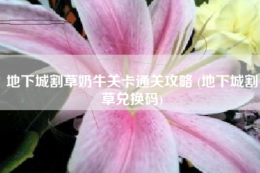地下城割草奶牛关卡通关攻略 (地下城割草兑换码)