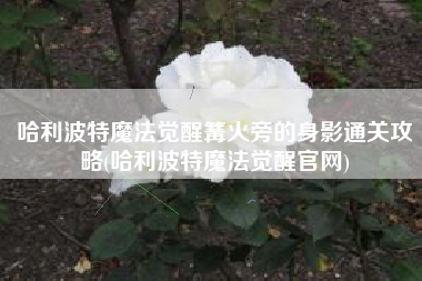 哈利波特魔法觉醒篝火旁的身影通关攻略(哈利波特魔法觉醒官网)